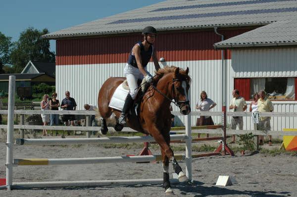 Frederiksborg Rasmus billede 16