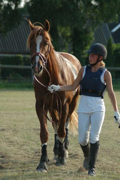 Frederiksborg Rasmus billede 19