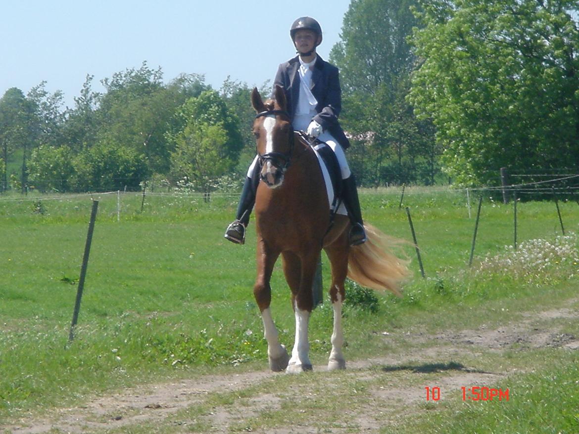 Frederiksborg Rasmus billede 20