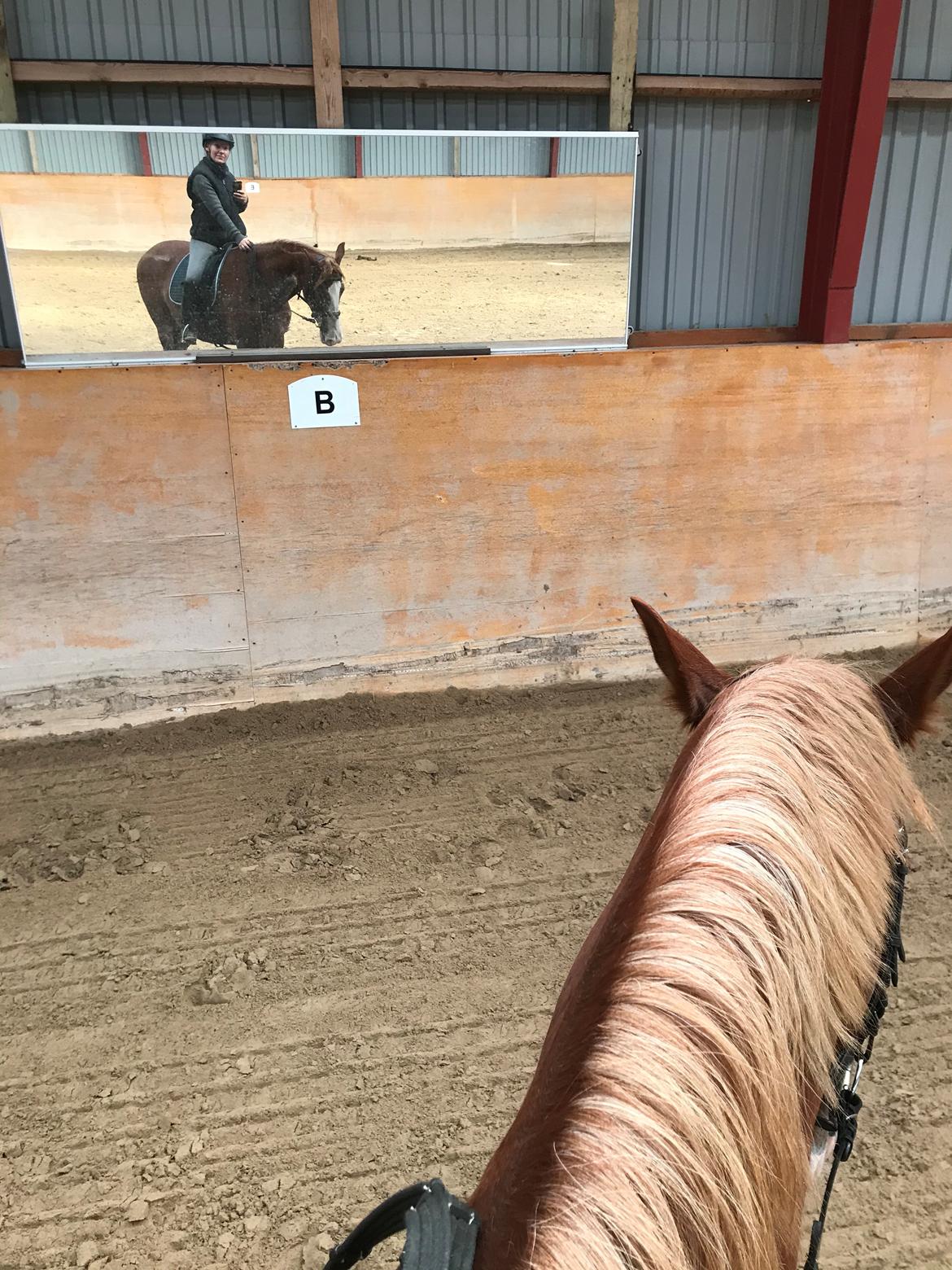 Frederiksborg Penelopeia Krogvænget billede 16