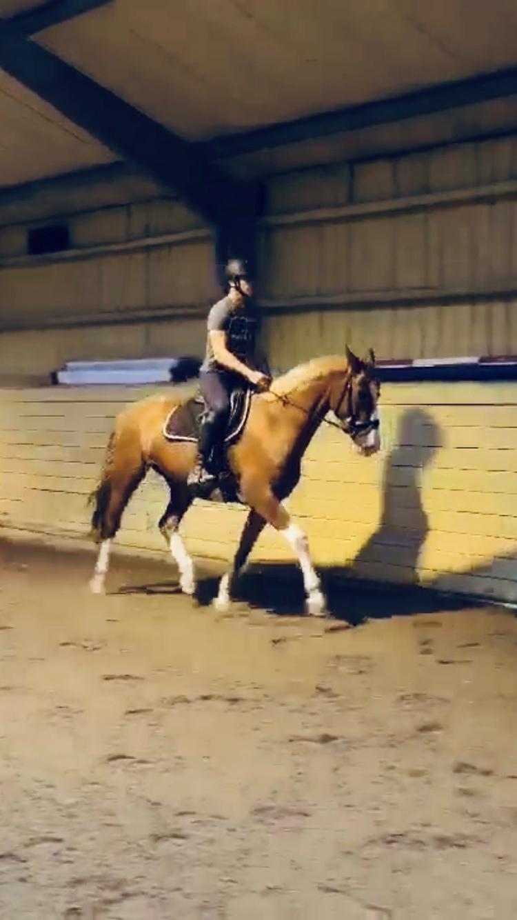 Frederiksborg Penelopeia Krogvænget billede 17