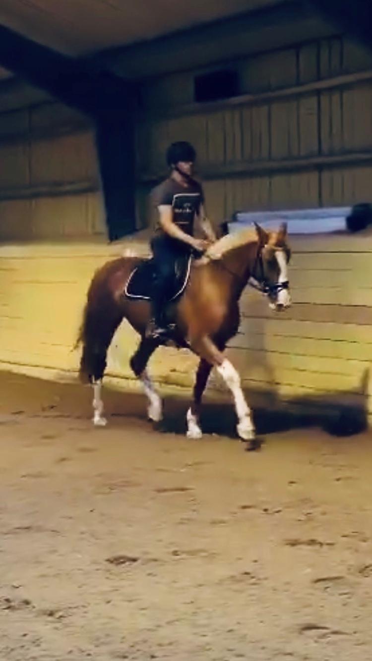 Frederiksborg Penelopeia Krogvænget billede 15