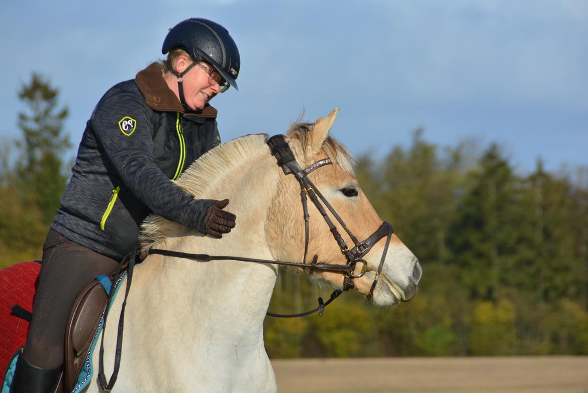 Fjordhest Ellegaards Trille - På Tur d. 27/10-19 billede 4