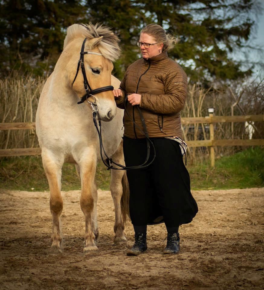 Fjordhest Ellegaards Trille - Hej mit navn er Trille, men min "mor" hende den skøre på billede, kalder mig Tril Tril :-) Men det lyster jeg nu også meget bedre på <3 Billede taget d. 15/3-19 billede 1
