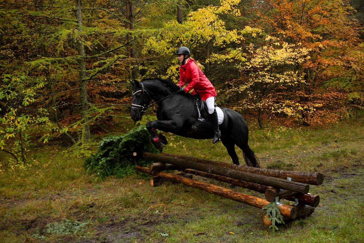 Frieser Griet Mieke billede 3