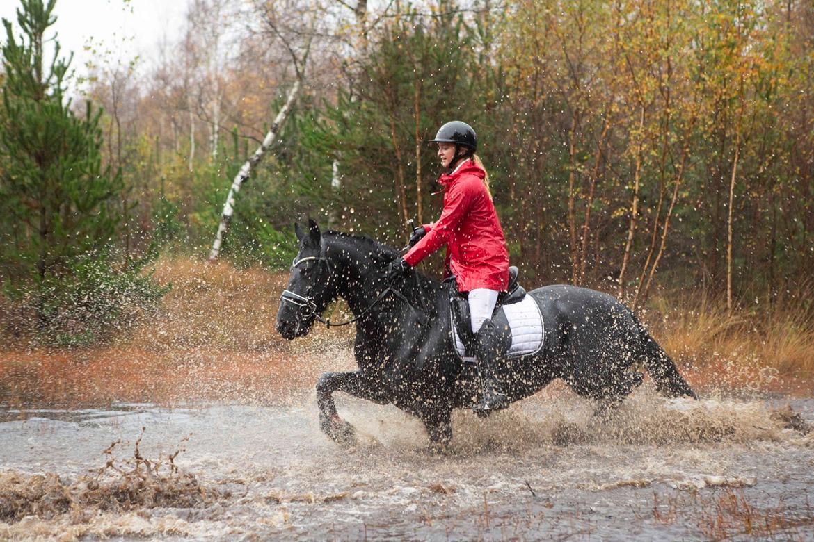 Frieser Griet Mieke billede 1