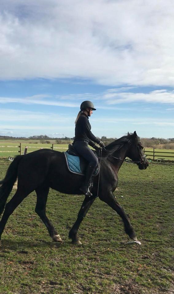 Anden særlig race Lillebygholms Damon billede 3