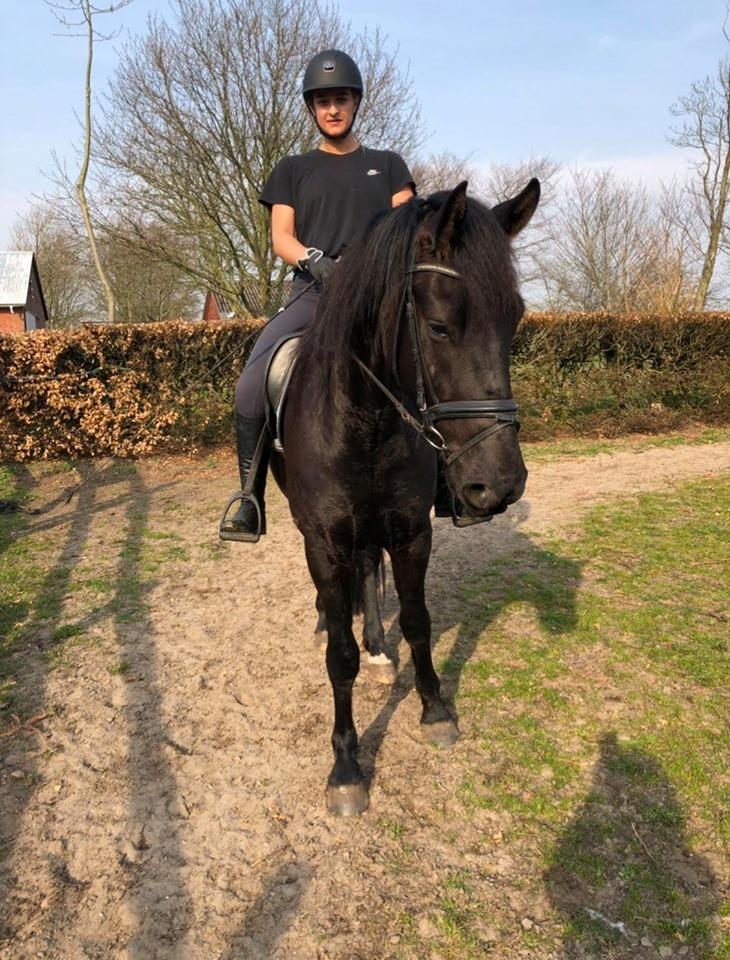 Anden særlig race Lillebygholms Damon billede 1