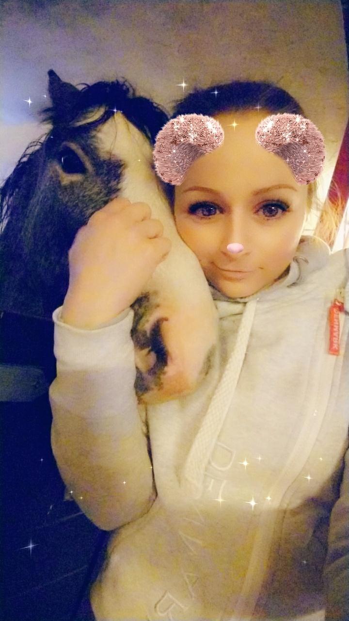 Welsh Mountain (sec A) Fakla Junior (Manse) † billede 17