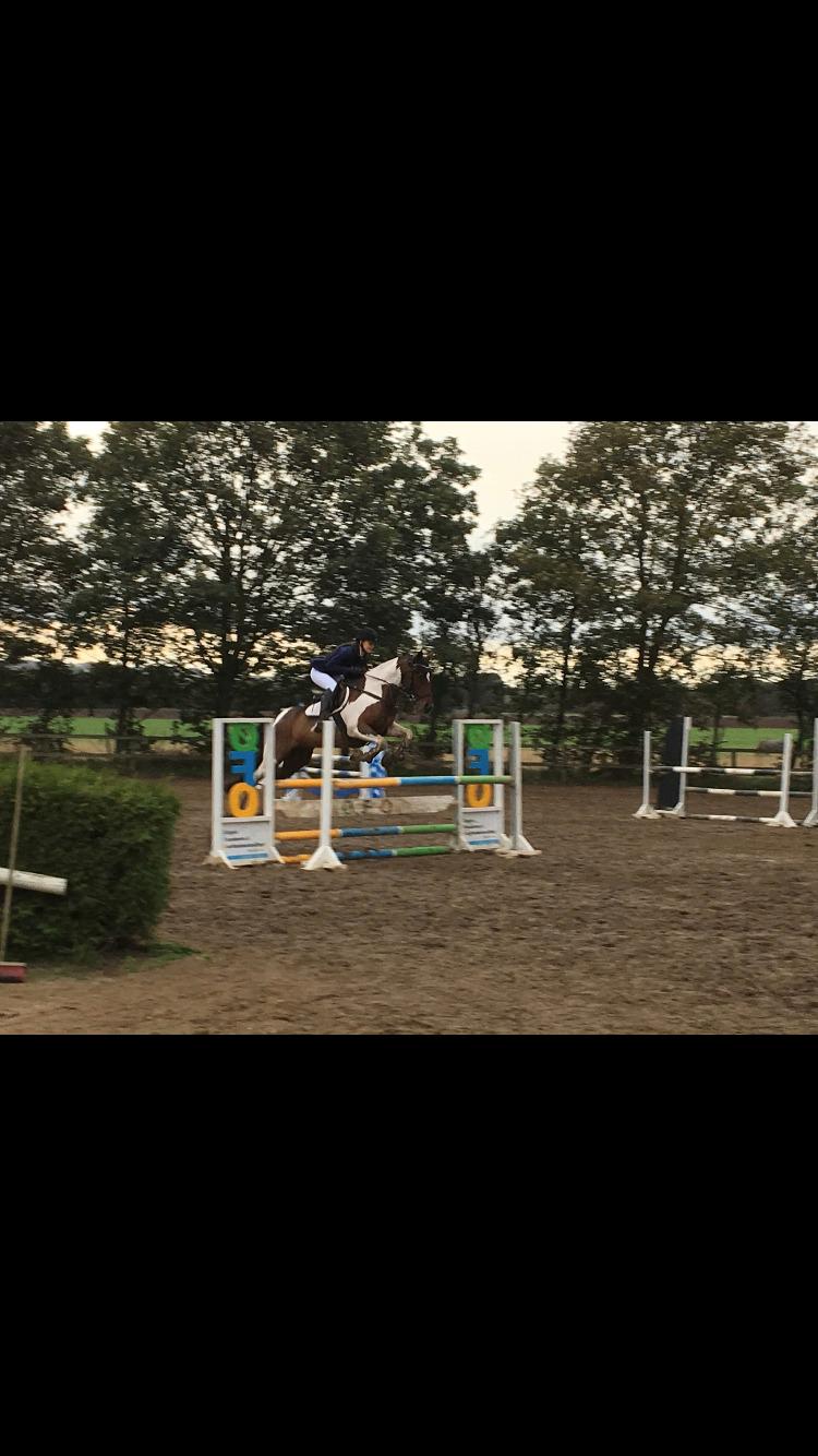 Anden særlig race Tulle Ørnhøj - Land og fritid cup billede 18