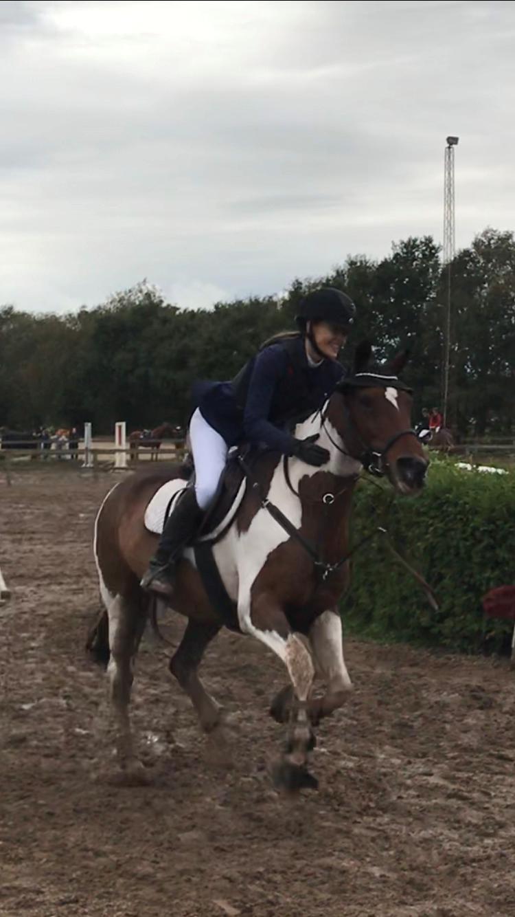 Anden særlig race Tulle Ørnhøj - Glad efter en fejlfri runde til land og fritid cup  billede 19