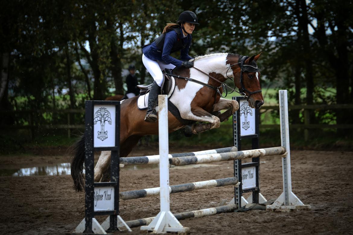 Anden særlig race Tulle Ørnhøj - Land og fritid cup billede 14
