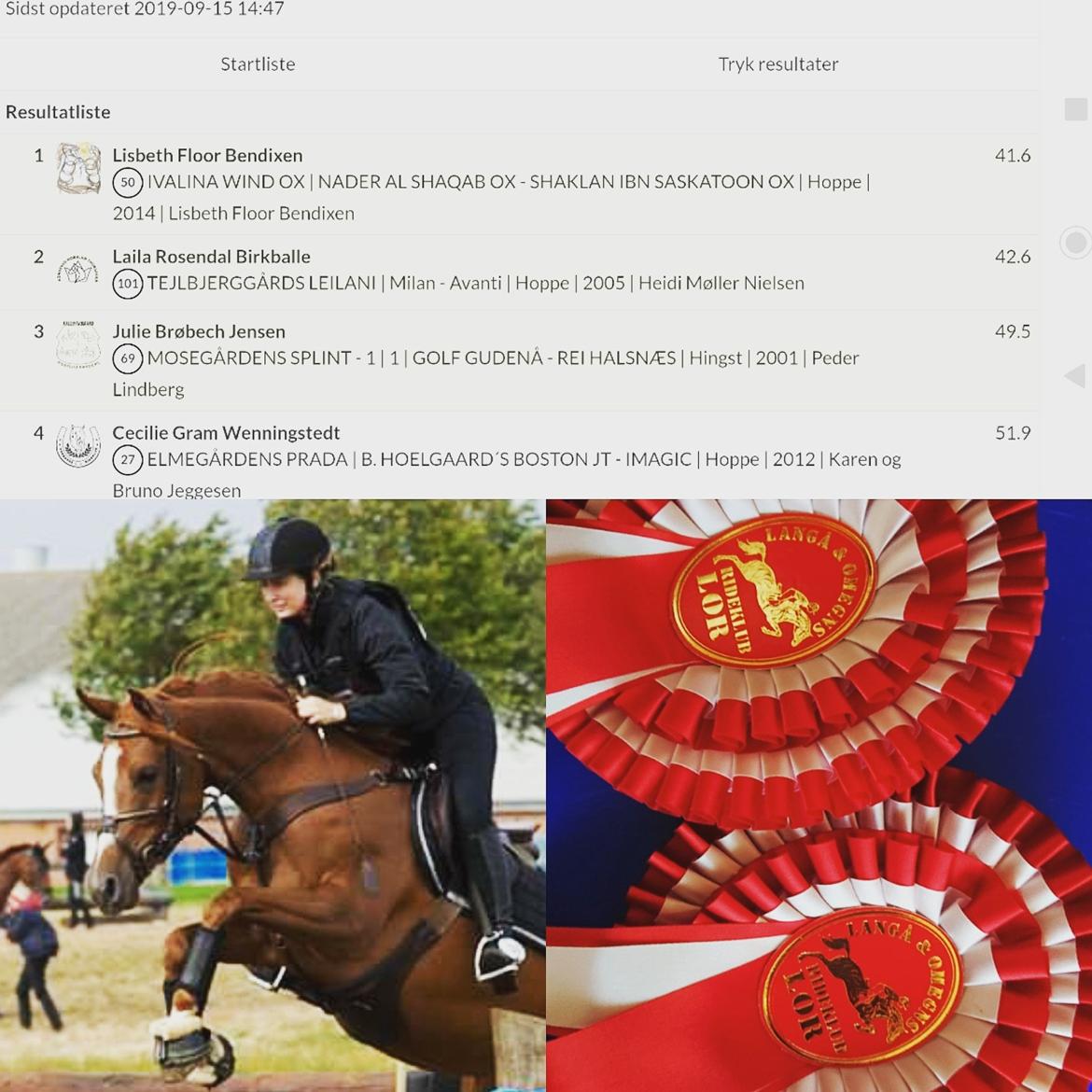 Arabisk fuldblod (OX) Ivalina Wind billede 38