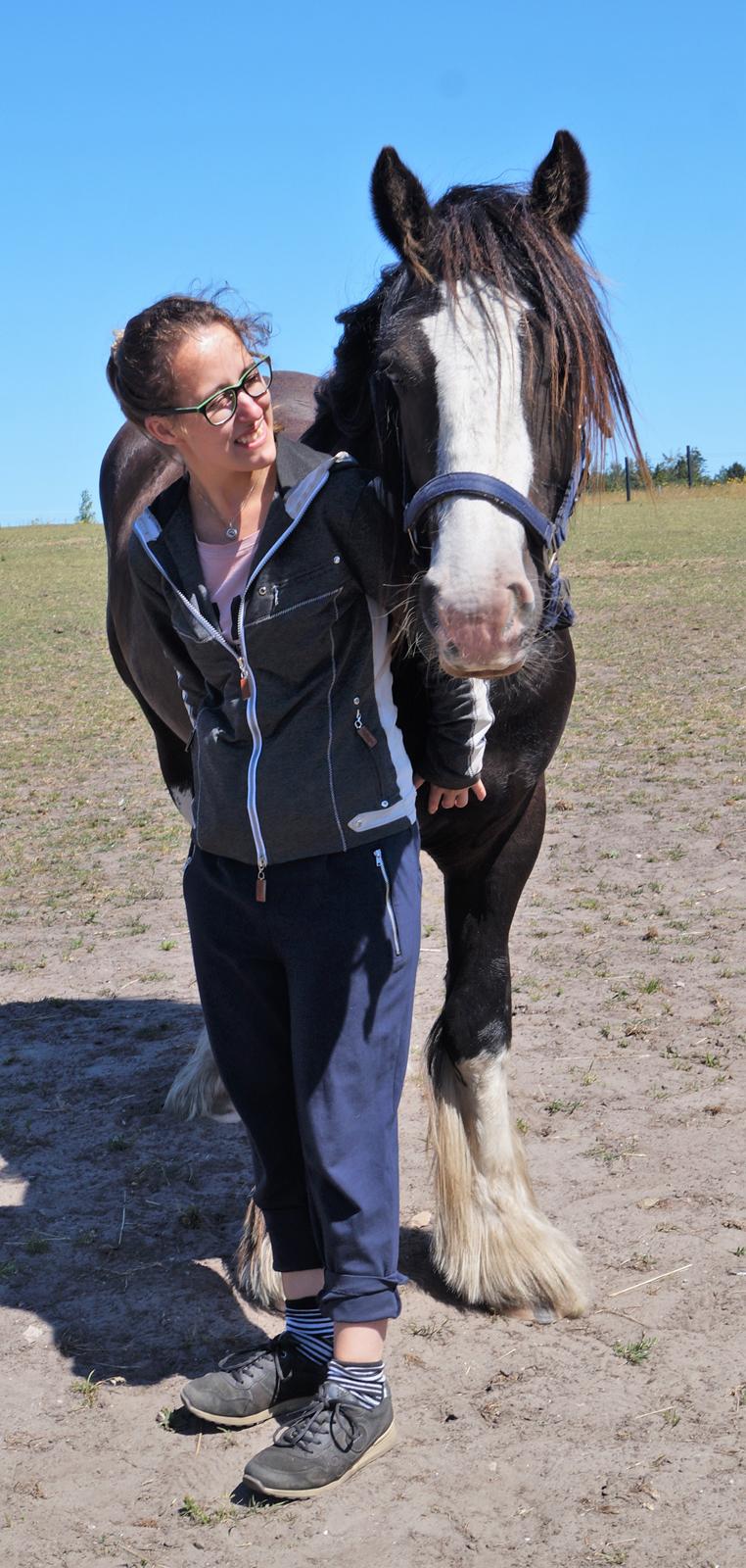 Irish Cob Stald Dalby's Tyrone - Camilla og Ty <3 billede 15