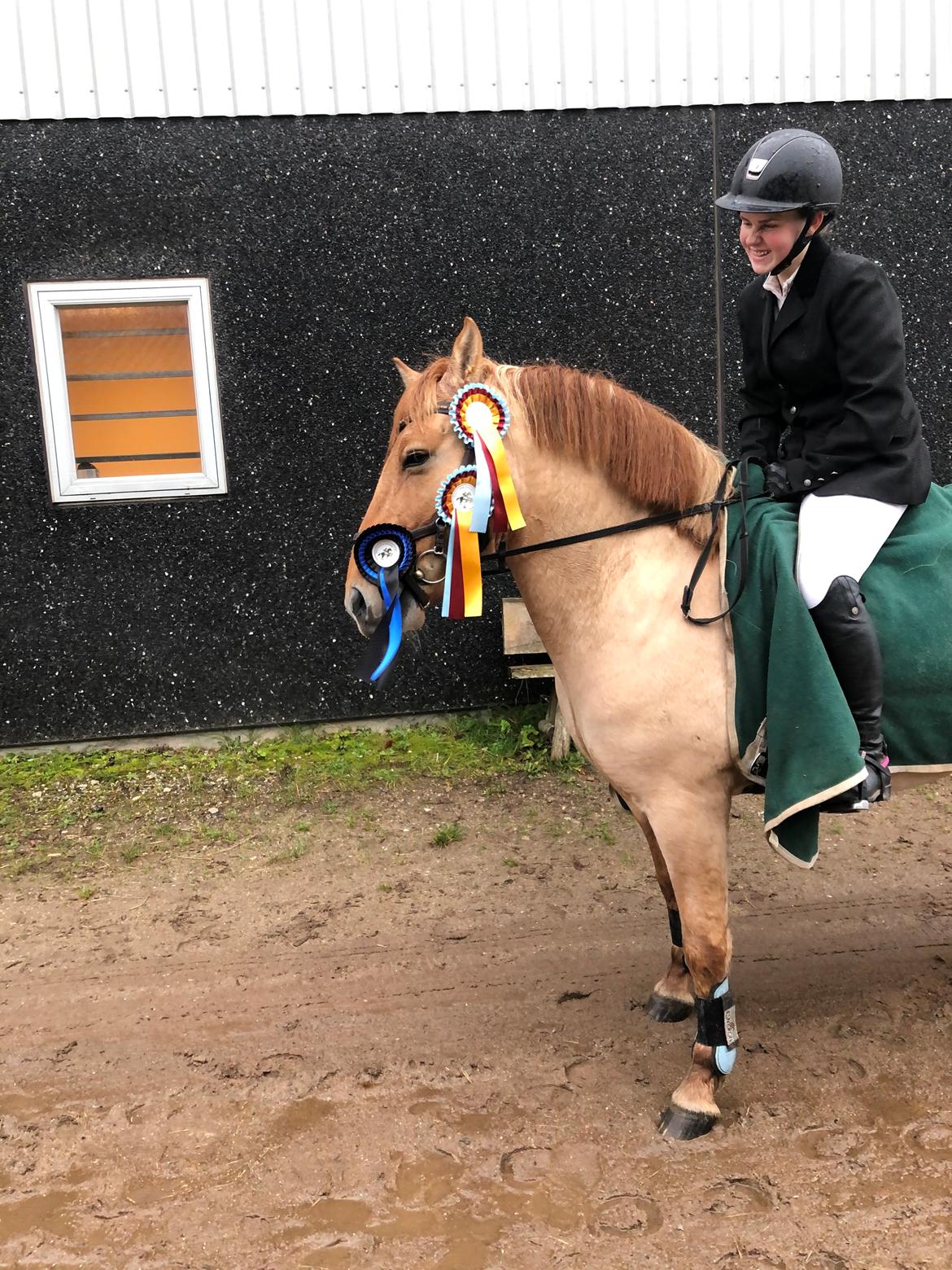 Anden særlig race Adonis billede 10