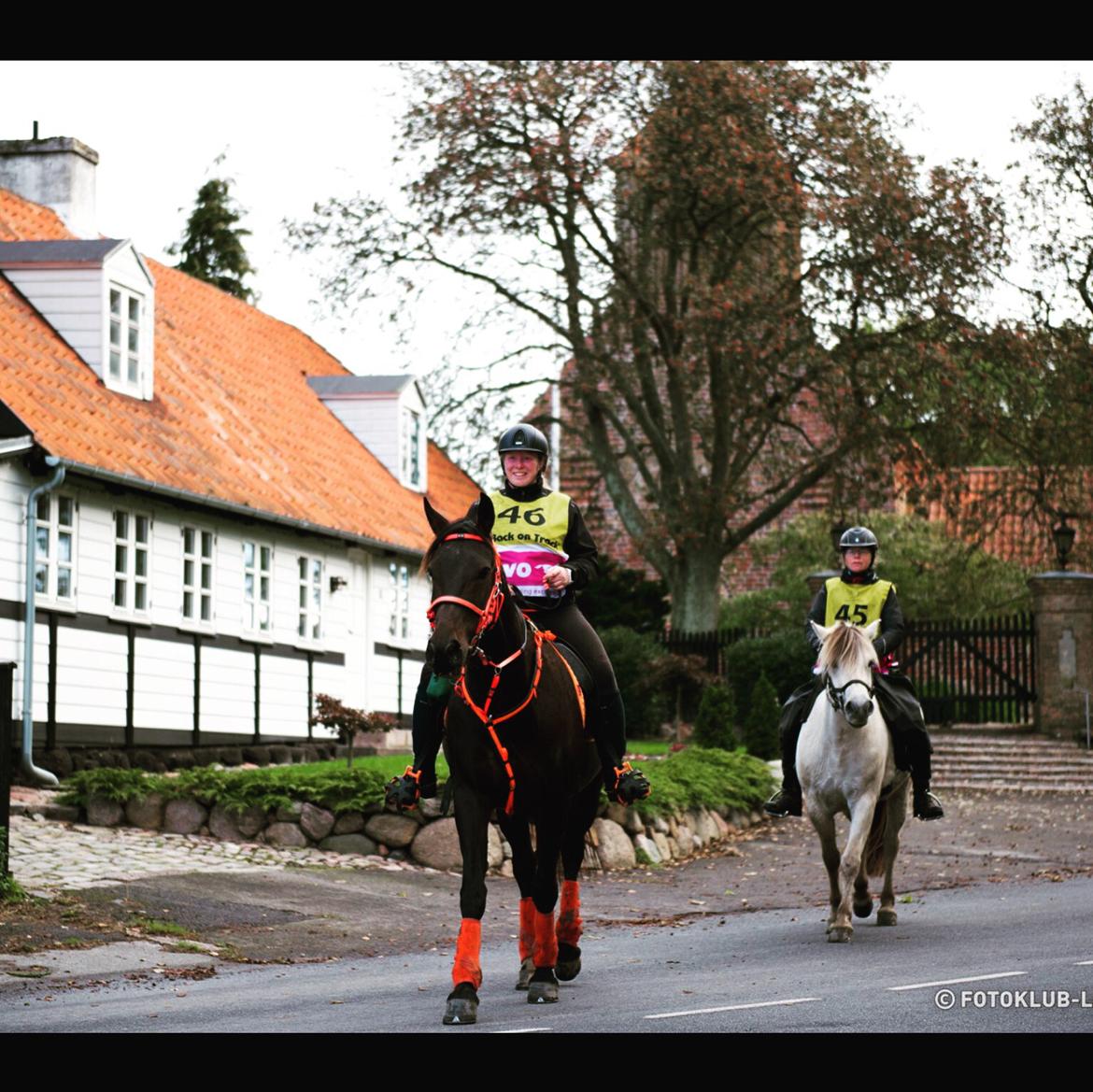 Anden særlig race Himmelhest Nightwish *DRØMMEHESTEN* billede 20