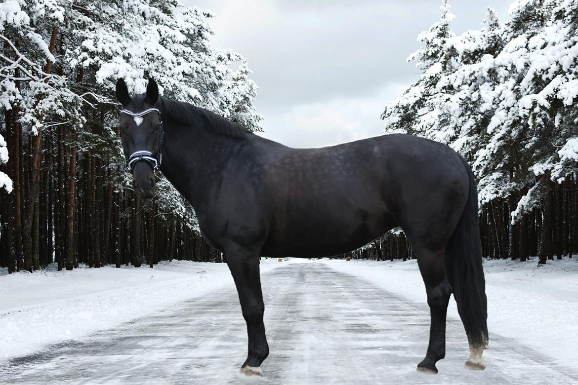 Oldenborg Maggie Tisted - Selvfølgelig redigeret, men alligevel fint. billede 1