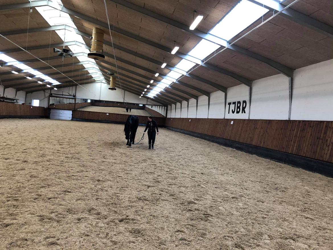 Frieser Anton fan stald barok - 1 gang i hallen  billede 4