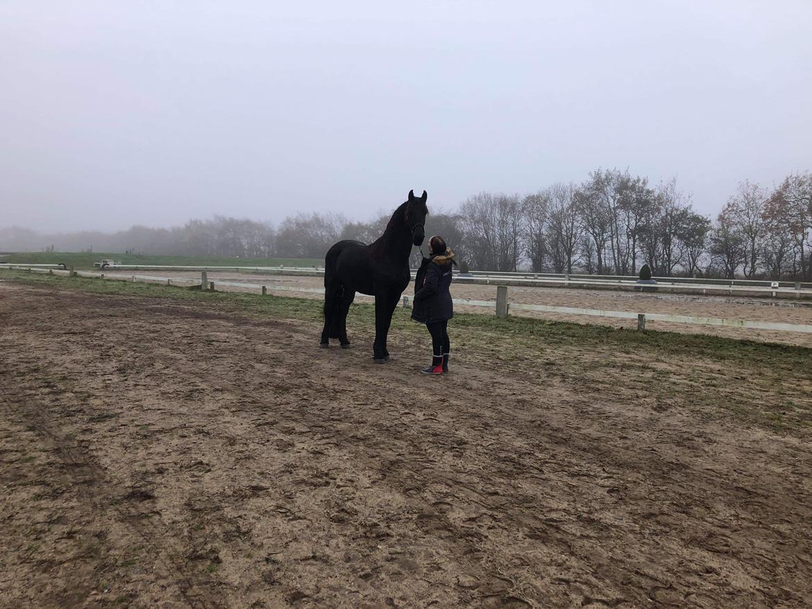 Frieser Anton fan stald barok billede 6