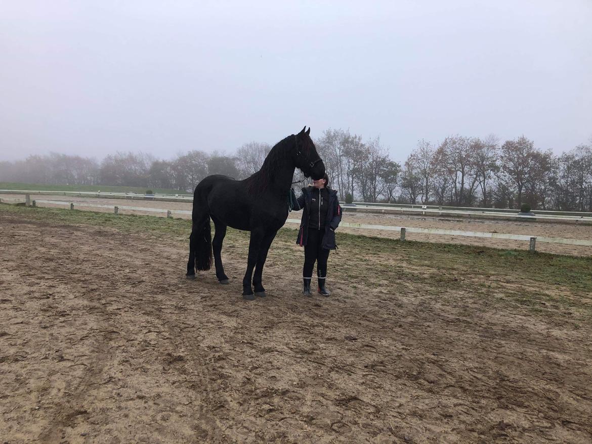 Frieser Anton fan stald barok - 2 gang på vej mod fold billede 5