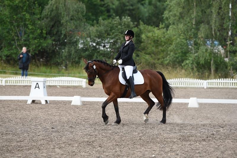 Anden særlig race Karlsbjerggårds sakia billede 3