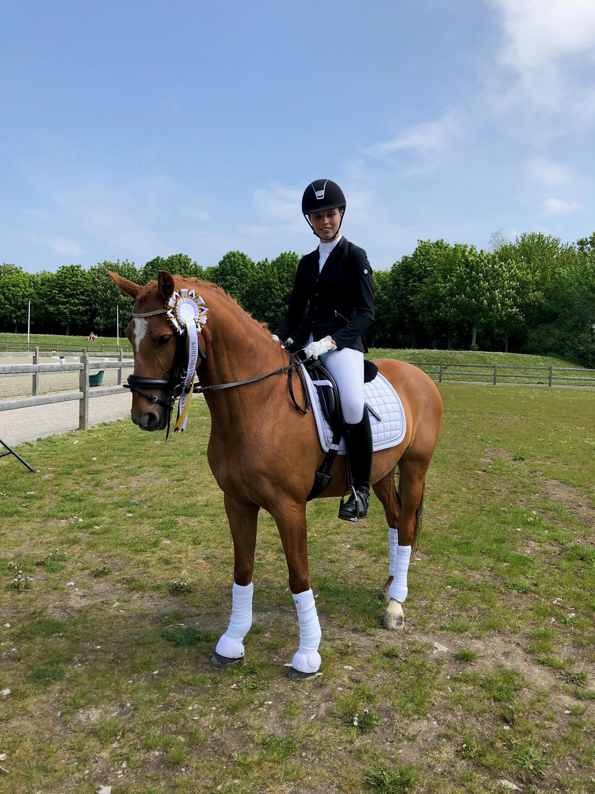 DSP Nørlunds el montana billede 10