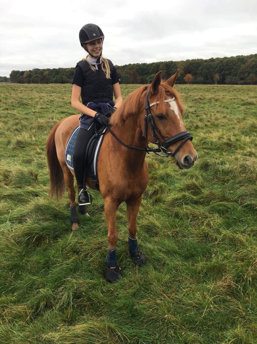 DSP Nørlunds el montana billede 12