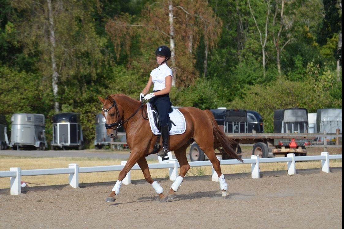 DSP Nørlunds el montana billede 17