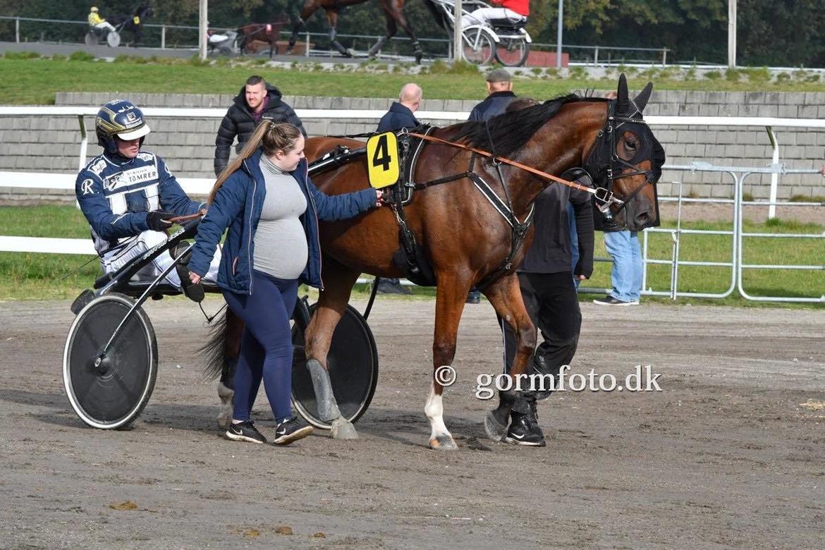 Traver Diago Vang billede 1