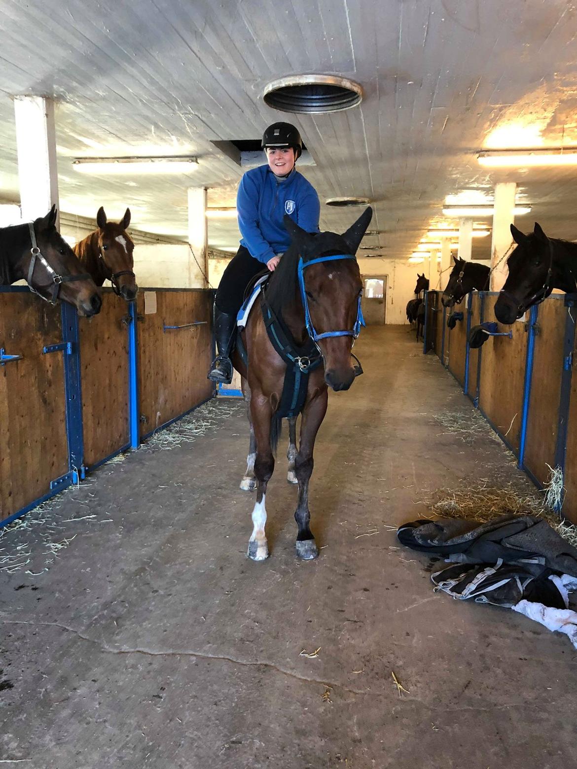 Traver Diago Vang billede 5