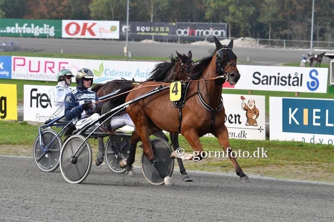 Traver Diago Vang billede 11