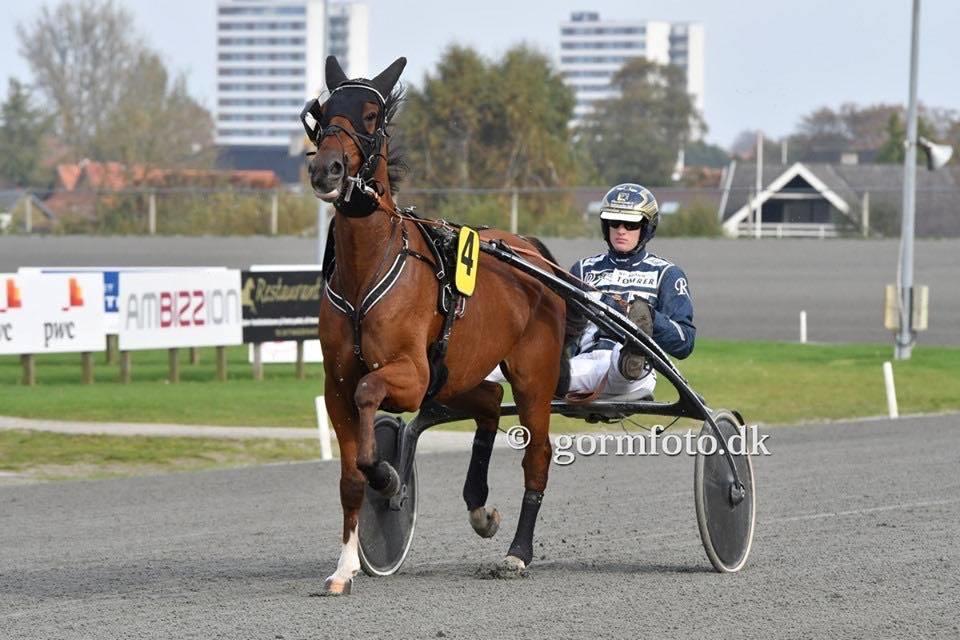 Traver Diago Vang billede 12