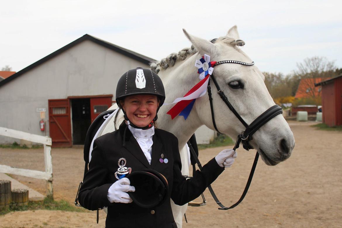 Connemara Hedegårdens Isabella billede 20