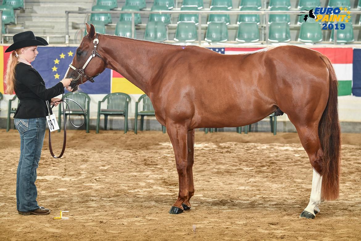 Paint Radicalackoflace billede 18