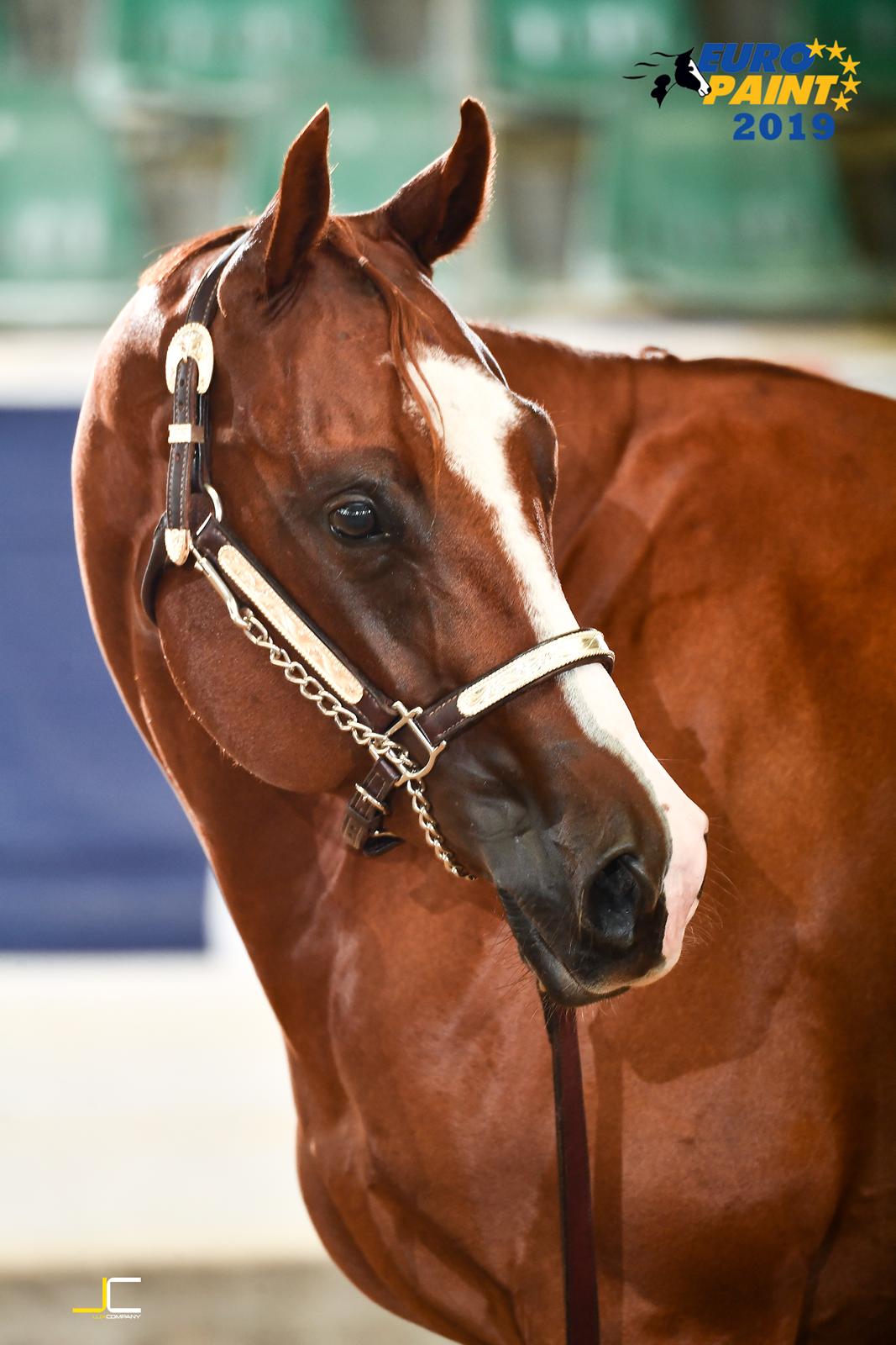 Paint Radicalackoflace billede 20