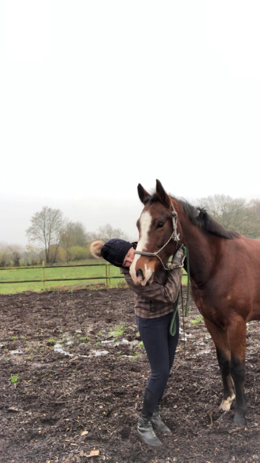 Anden særlig race Marguerit's nemo billede 9