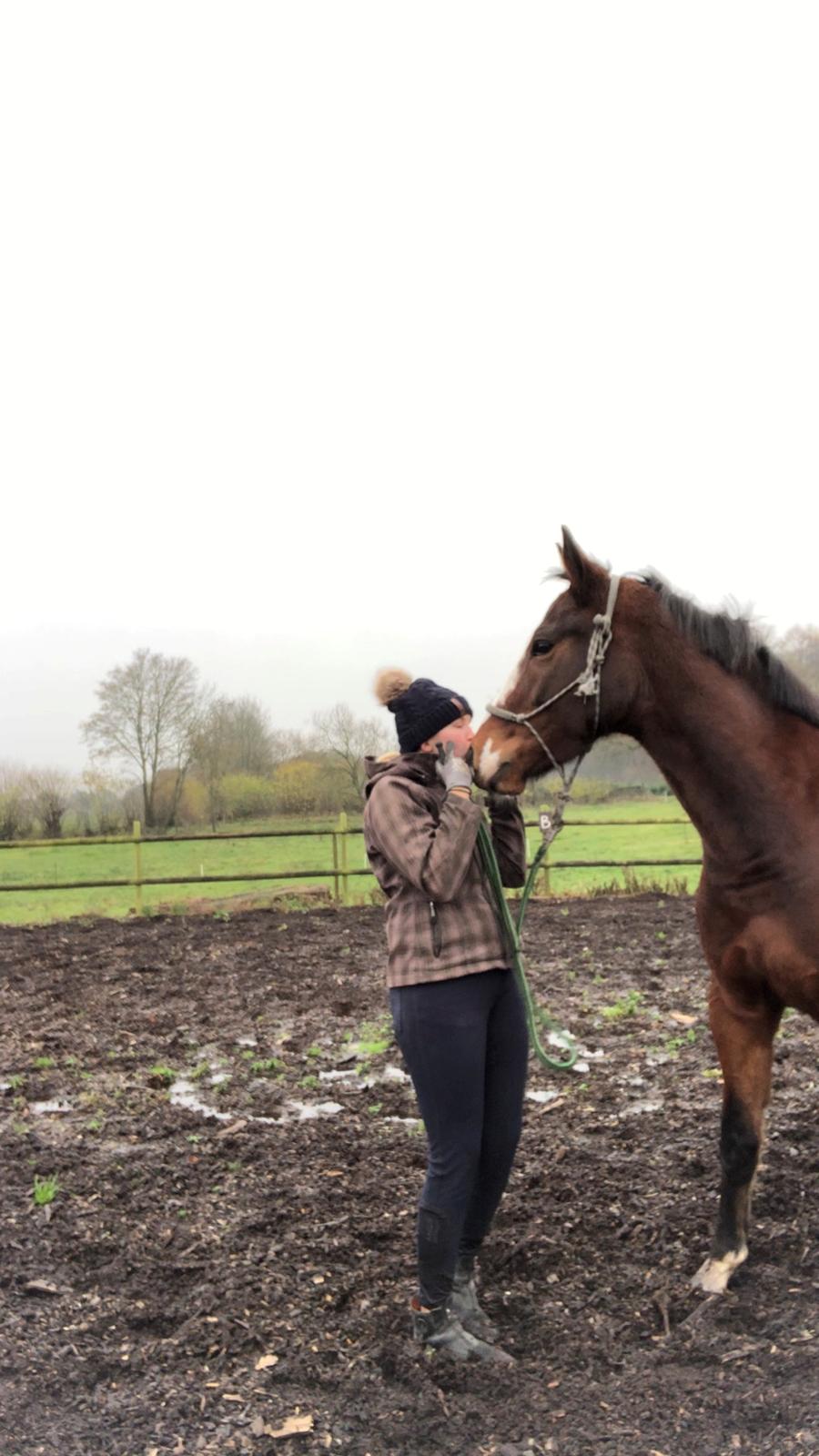 Anden særlig race Marguerit's nemo - Nimse har lært at mysse (18/11-2019) billede 4