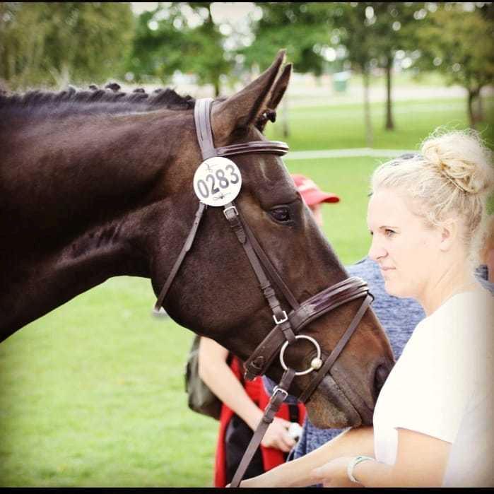 Oldenborg Halkjærs Oskar billede 9