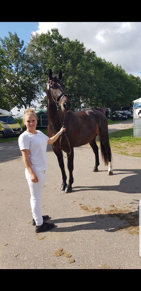 Oldenborg Halkjærs Oskar billede 10