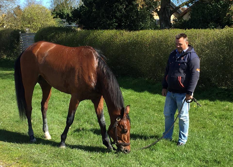 Traver Sweet n sour billede 5