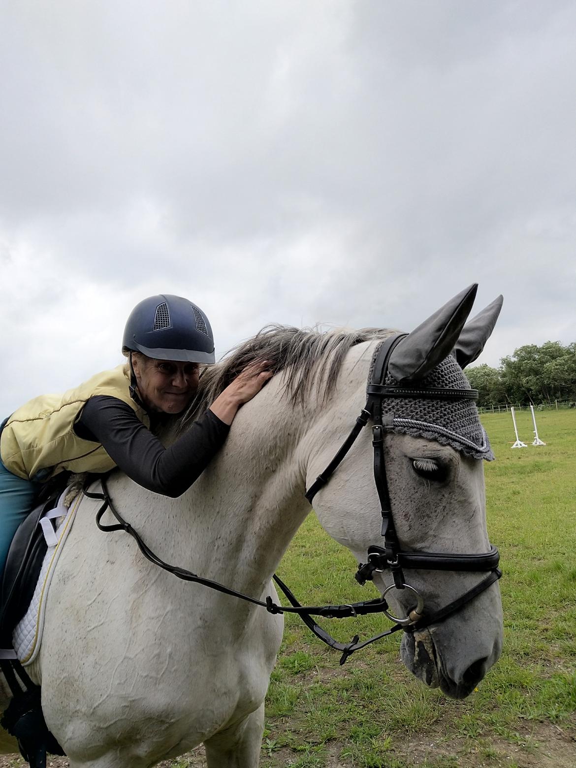 Dansk Varmblod Bøgevejens corrana billede 8