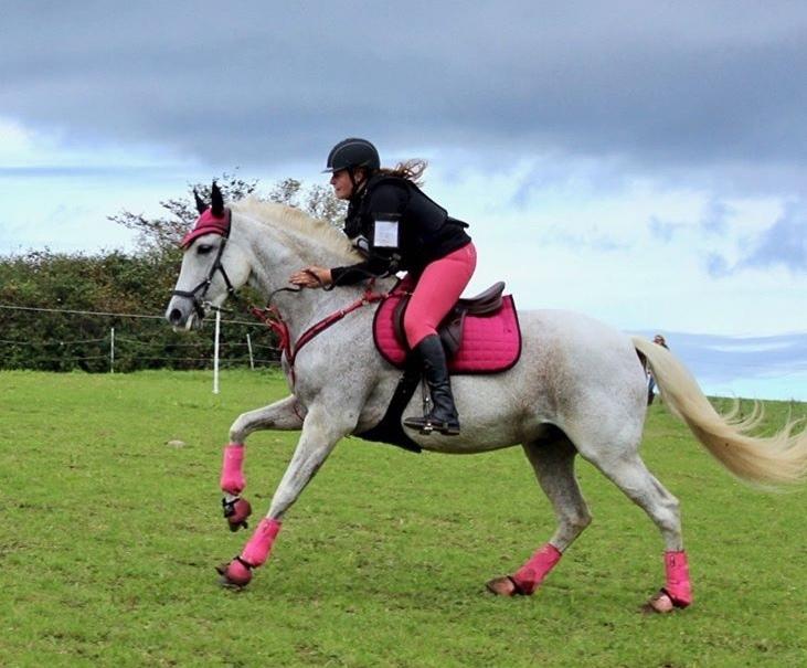 Anden særlig race Windrose's Athena billede 19