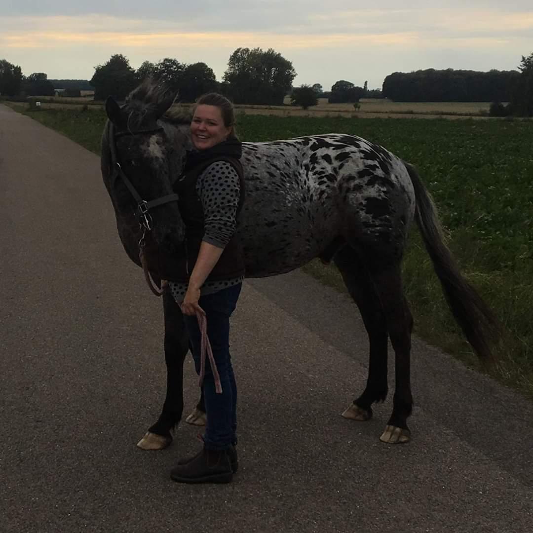 Anden særlig race Falco "Falafel" billede 19