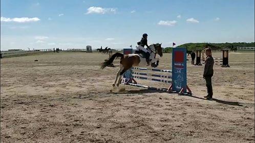 Pinto Gonda billede 14