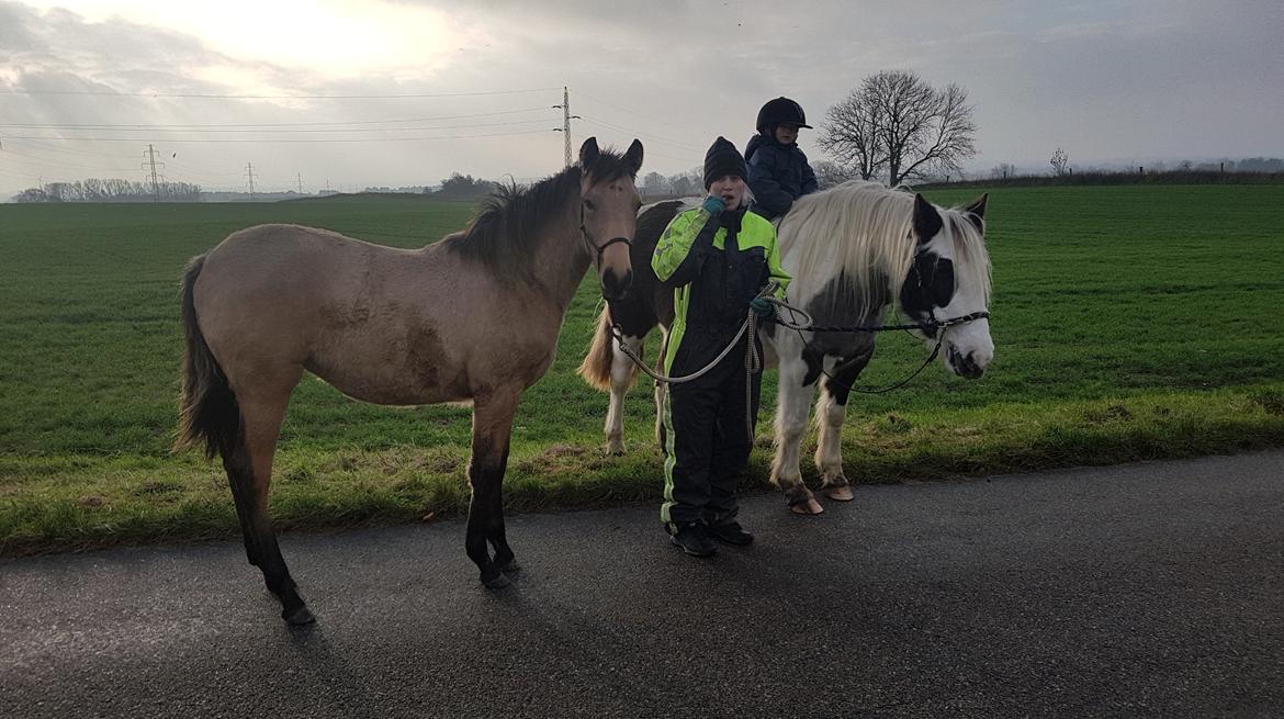 Cruzado Athena - Athena bliver en stor pige..... billede 12