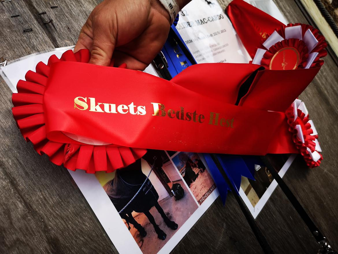 Frieser cardo.   solgt  billede 20