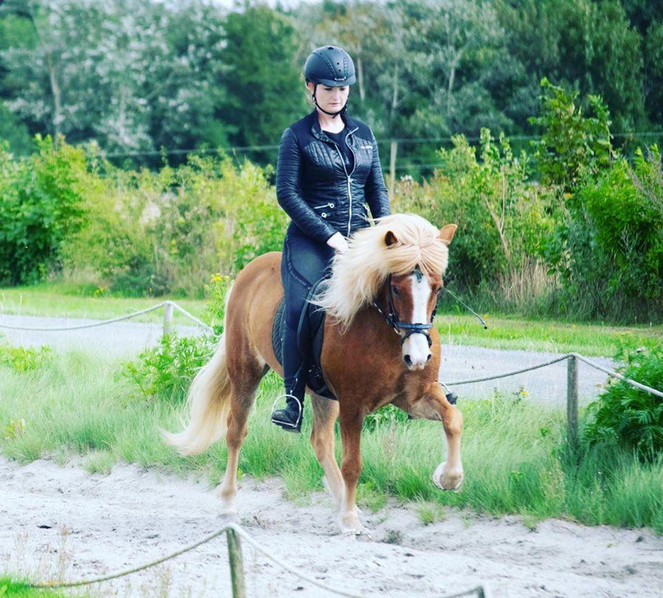 Islænder Fylkir Fra Reykjavik  billede 16