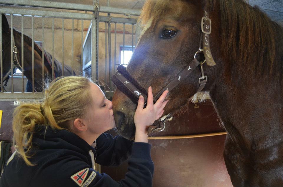 Anden særlig race Zantox billede 7