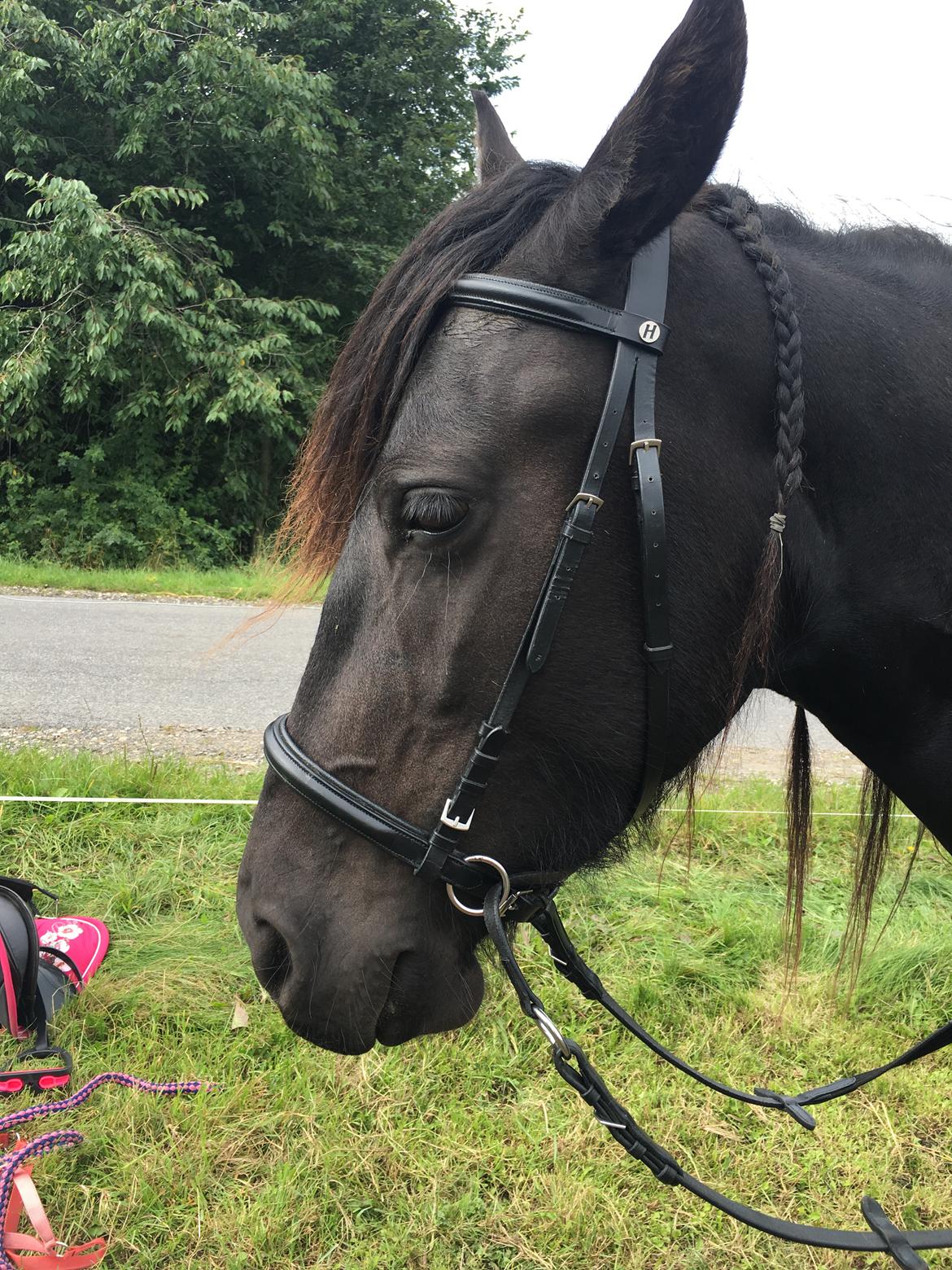 Frieser Melody K billede 19