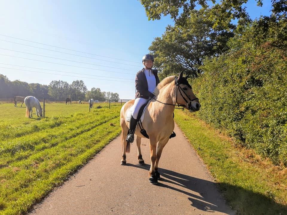 Fjordhest Toftegårdens Tjalfe - 1. Dressurstævne, VER, sep. 2019. LD1 68 %, LD2 67 % billede 9